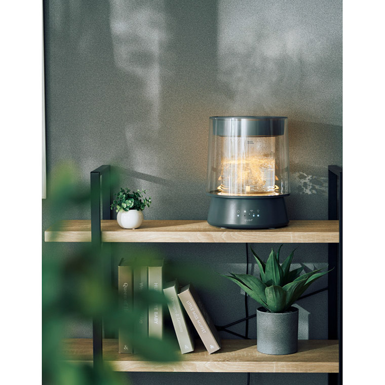 QUADS ガラススチーム加湿器 グラス グレー QS549GY M41004 ギフト