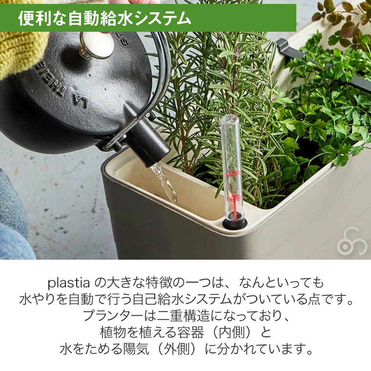 レビュー特典あり) プラスティア 自動給水式プランター W600 P97460