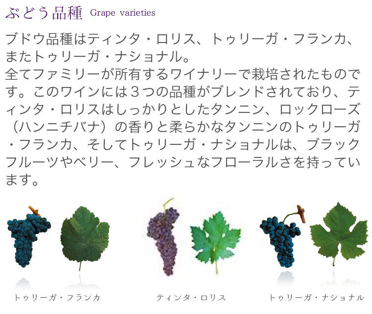 カーム レセルバ 【赤】 CARM RESERVA Tinto　750ml