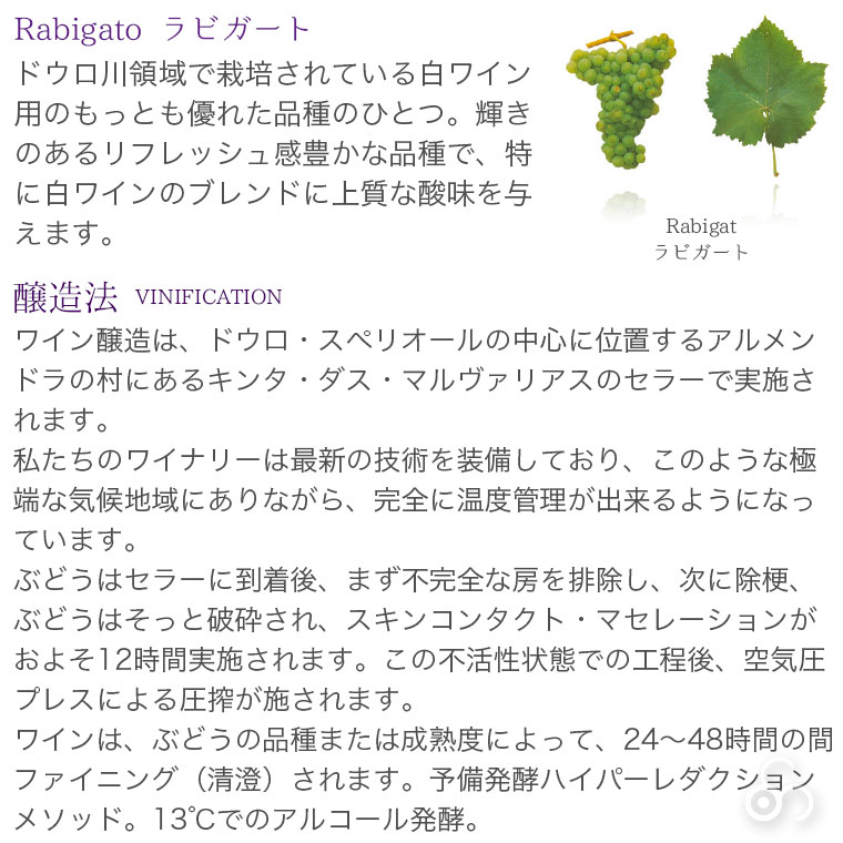 ヴィーニャ・ダ・ウルゼ 【白】 Vinha da Urze Branco 2020　750ml