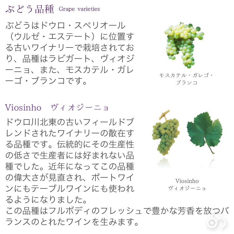 ヴィーニャ・ダ・ウルゼ 【白】 Vinha da Urze Branco 2020　750ml