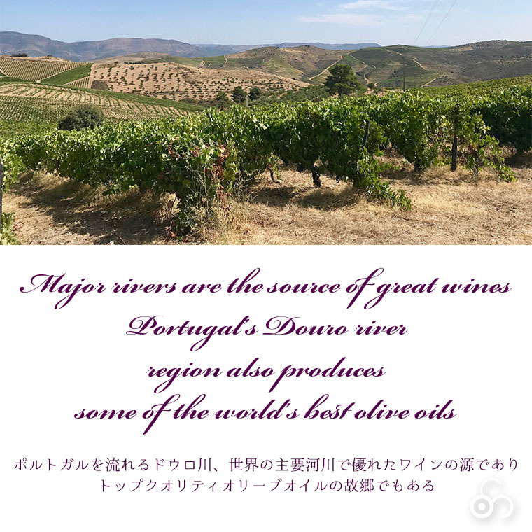 白ワイン マルケス・デ・アルメイダ （白） Marques de Almeida White 2021 750ml
