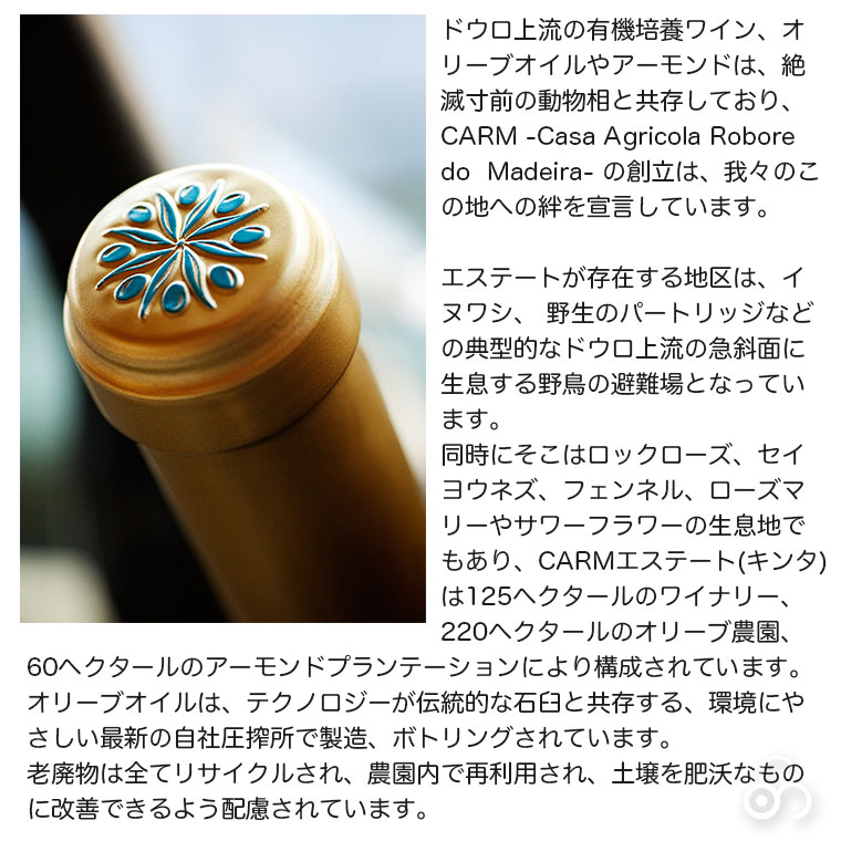 白ワイン カーム ナチュラル 亜硫酸フリー （白） CARM Natural White SO2 FREE 2020 750ml