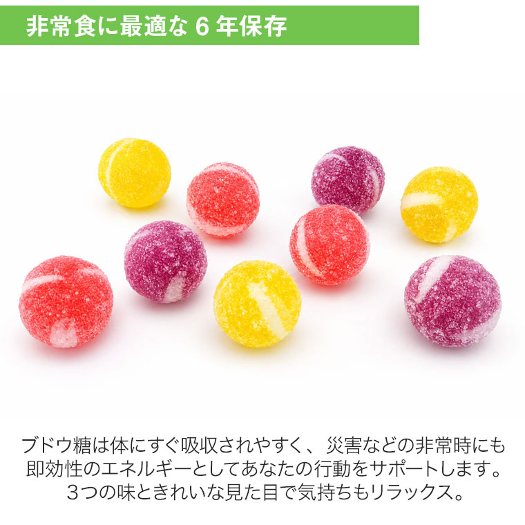 ユニーク総合防災 (レビュー特典あり) (非常食 保存食) パワーフルーツ