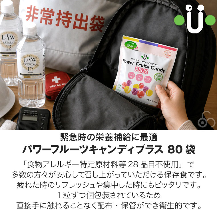 ユニーク総合防災 (レビュー特典あり) (非常食 保存食) パワーフルーツ