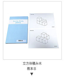 Smilekids スマイルキッズ 立方体積み木 教本Ｂ パターンブック ニキーチン 幼児教育 お受験 知育玩具 SK-018