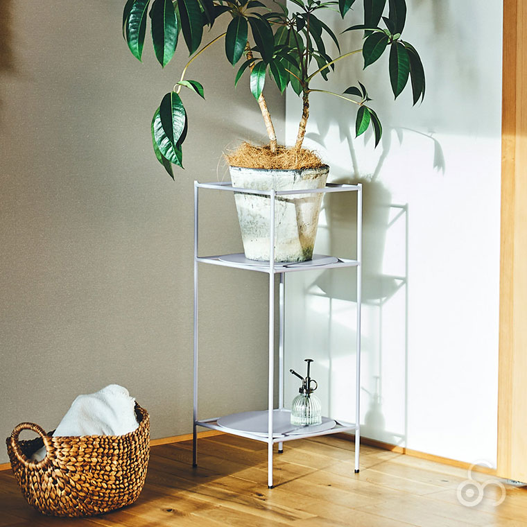 antenna プラントラック plants rack Ssize ブラック グレー SVEPR001S