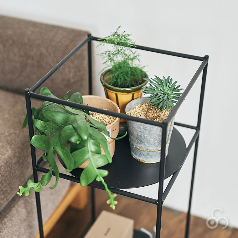 antenna プラントラック plants rack Ssize ブラック グレー SVEPR001S
