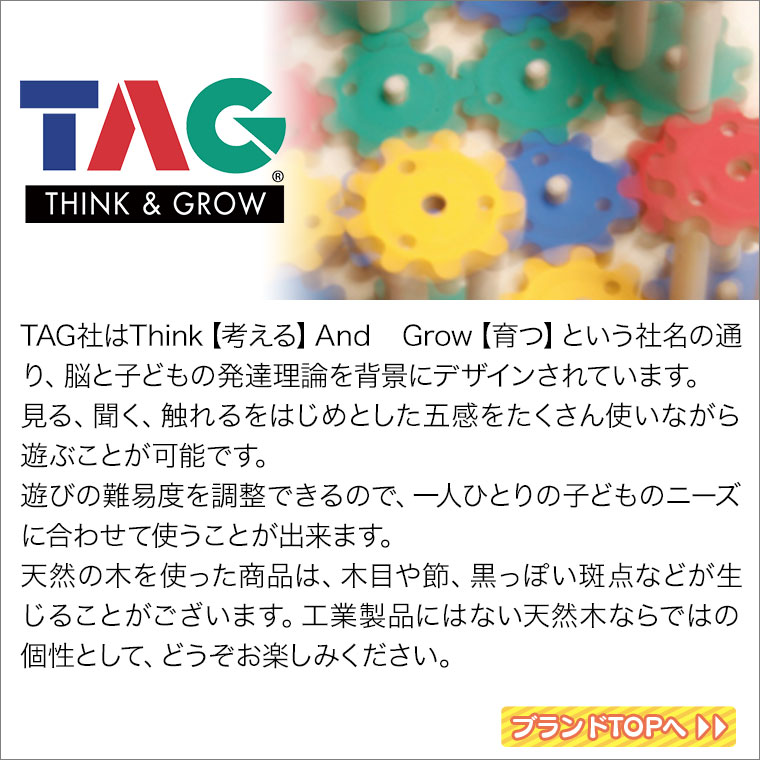 TAG セラピー用プレイハウスセット TGP31 知育玩具 知育 おもちゃ 0歳 1歳 1歳半 2歳 3歳 4歳 5歳 男の子 女の子 幼児教育
