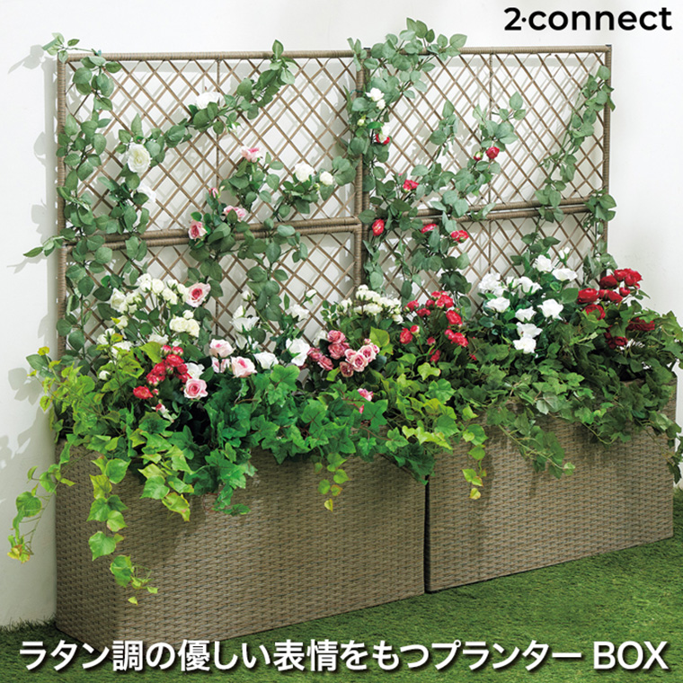 tan-7001_1.jpg?size=n