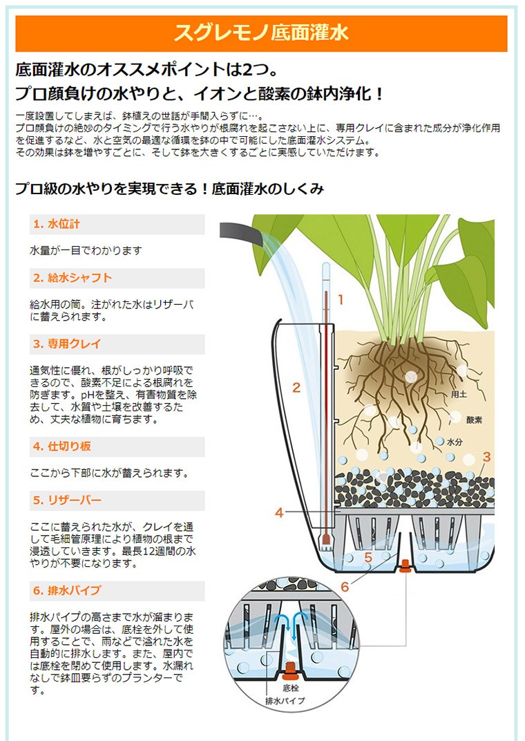 プランター レチューザ キュービコ50 LE-3050 LECHUZA 底面給水 底面