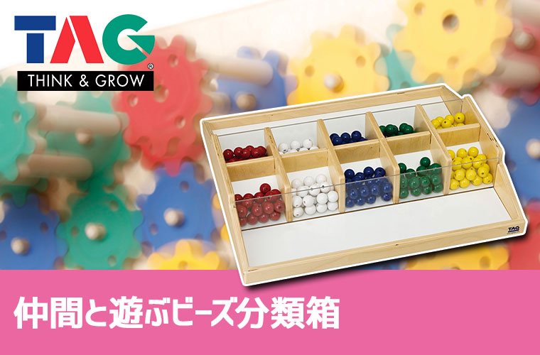 TAG 仲間と遊ぶビーズ分類箱 TGER3 知育玩具 知育 おもちゃ 木製 3歳 4