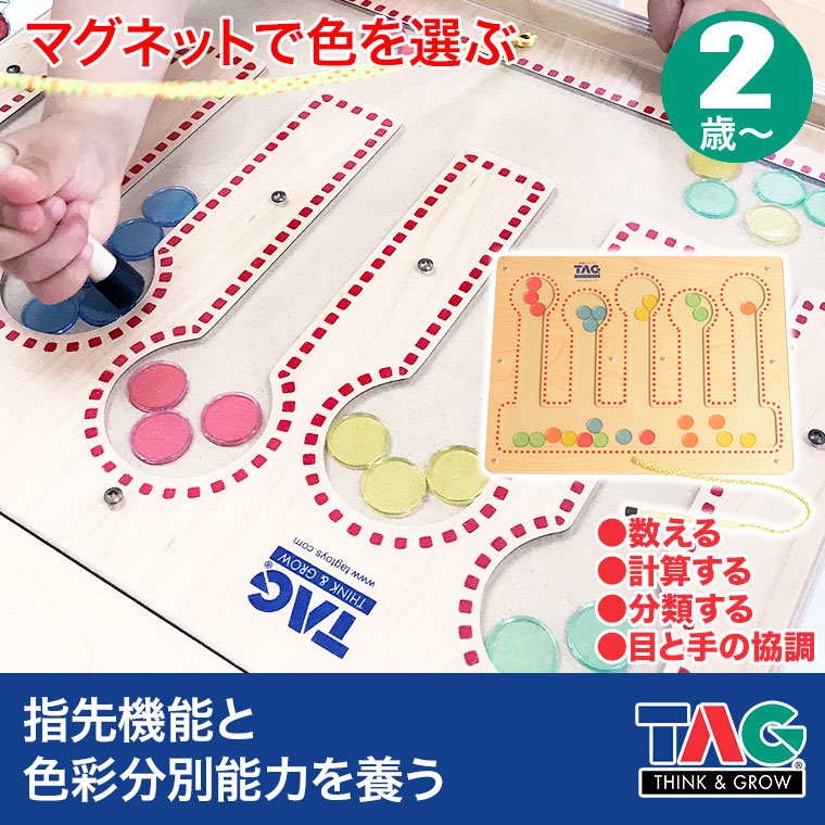 TAG マグネットで色を選ぶ TGES12 知育玩具 知育 おもちゃ 木製 2歳 3