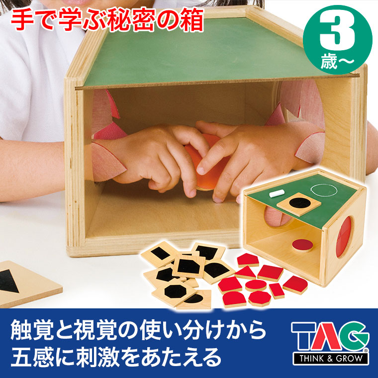 TAG 手で学ぶ秘密の箱 TGESC12 知育玩具 知育 おもちゃ 木製 3歳 4歳 5