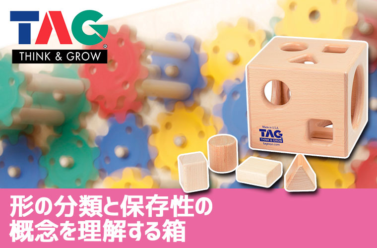 TAG 形の分類と保存性の概念を理解する箱 TGESC8 知育玩具 知育