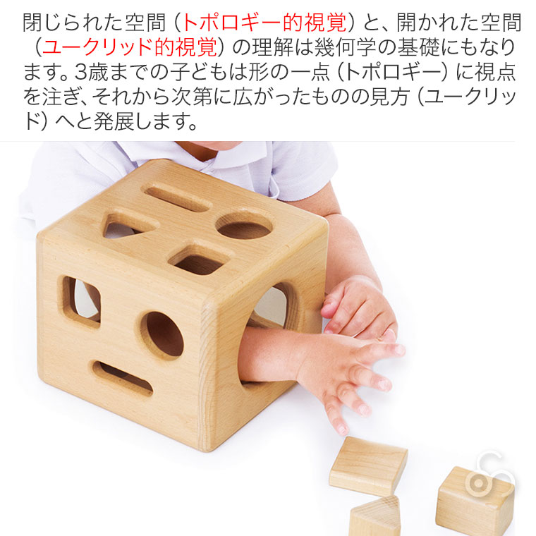 TAG 形の分類と保存性の概念を理解する箱 TGESC8 知育玩具 知育