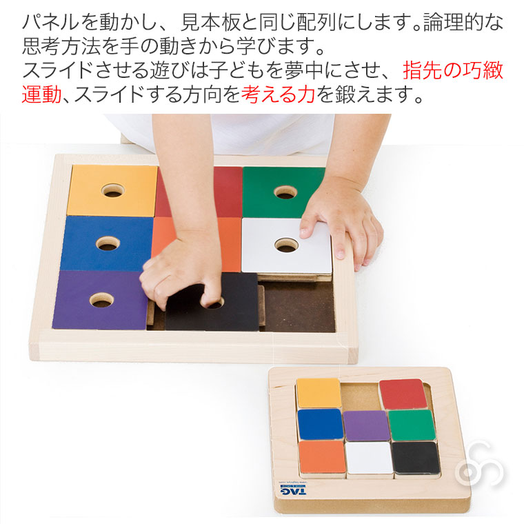 TAG 手の操作と論理的パズル TGRE41 知育玩具 知育 おもちゃ 木製 3歳