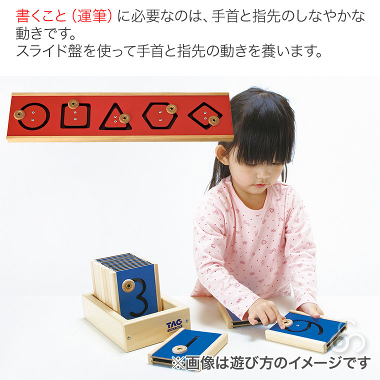 TAG 基本的運筆練習盤 TGSM115 知育玩具 知育 おもちゃ 木製 3歳 4歳 5
