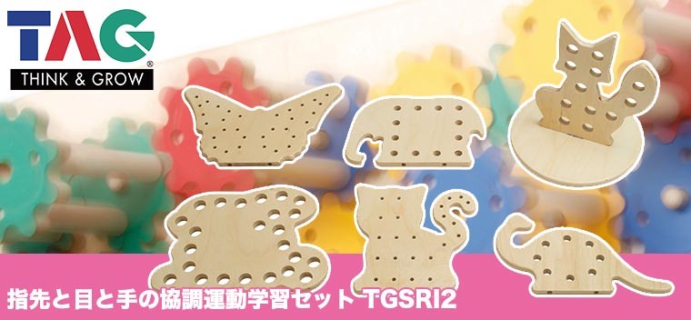 TAG 指先と目と手の協調運動学習セット TGSRI2 知育玩具 知育 おもちゃ
