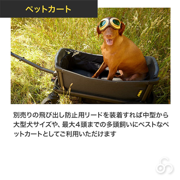 VEER ヴィア・クルーザー 本体単品 キャン...の詳細画像5