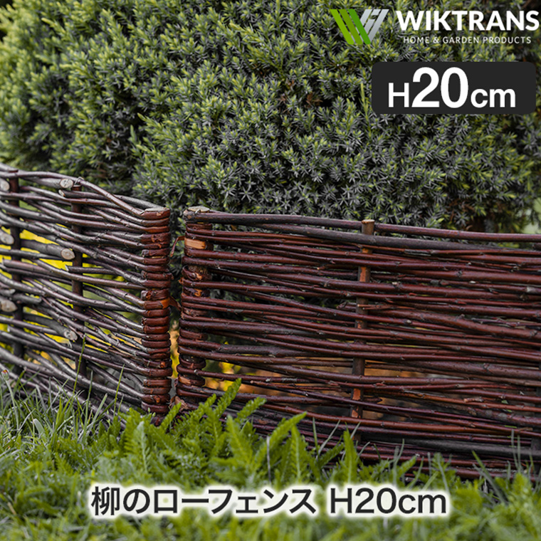 wt91704_1.jpg?size=n