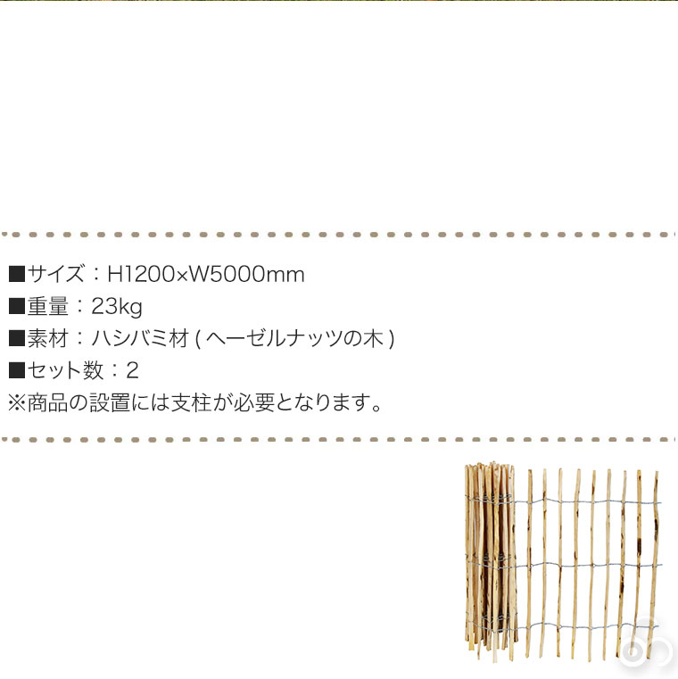 item038.jpg
