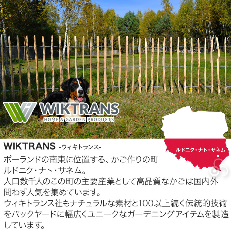 2セット) ウィキトランス ヘーゼルナッツの木製ロールフェンス H120cm