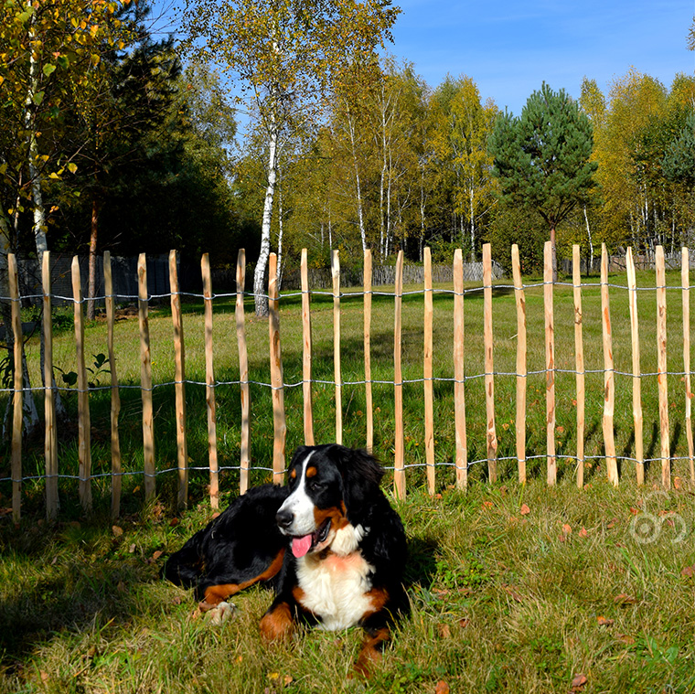 ウィキトランス ヘーゼルナッツの木製ロールフェンス H120cm 柵