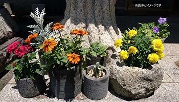 植木鉢 おしゃれ 国産溶岩石 溶岩石フラワーポット（S) サボテン 石 鉢