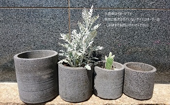 植木鉢 おしゃれ 国産溶岩石 溶岩石フラワーポット（S) サボテン 石 鉢