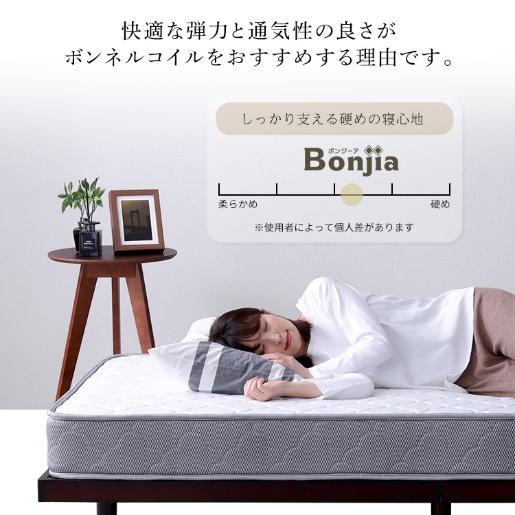 収納ベッド シングル (SGマーク国産ボンネルコイルマットレス付き) ブラック 99036-01.jpg