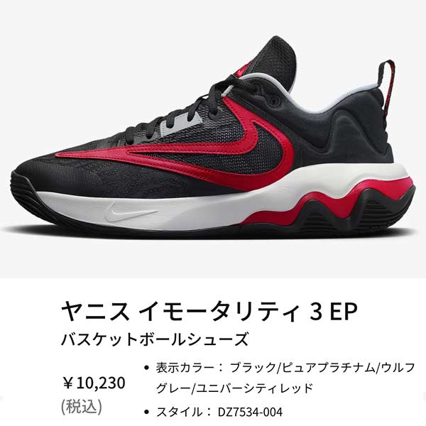 ナイキ（NIKE） FZ6734 300 バスケットボール シューズ ジュニア