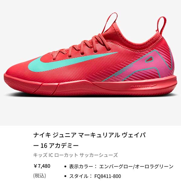 NIKE ジュニア フットサル シューズ インドア ナイキ