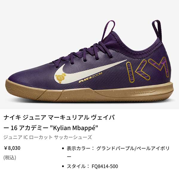 NIKE ジュニア フットサル シューズ インドア ナイキ