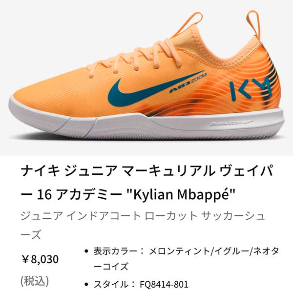 NIKE（ナイキ） ジュニア フットサル シューズ インドア