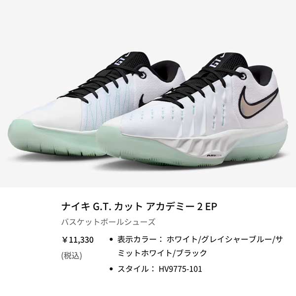 NIKE（ナイキ） バスケット シューズ エア ズーム G.T. カット