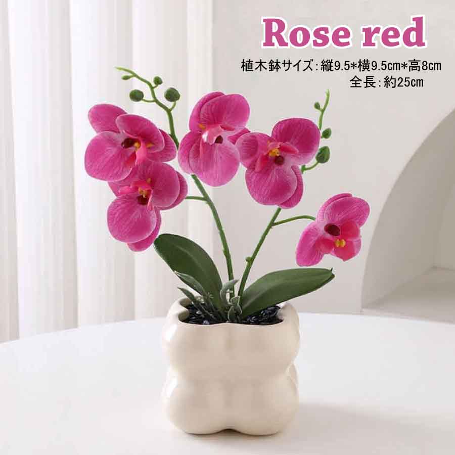 フェイクグリーン 胡蝶蘭 造花 鉢付き 卓上 インテリア 観葉植物 枯れない 花 おしゃれ ミニサイズ ギフト プレゼント 母の日 玄関 リビング |  | 02