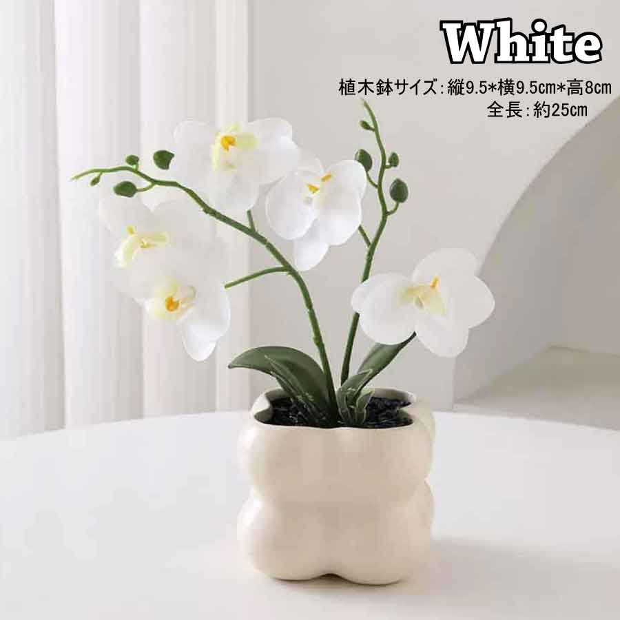 フェイクグリーン 胡蝶蘭 造花 鉢付き 卓上 インテリア 観葉植物 枯れない 花 おしゃれ ミニサイズ ギフト プレゼント 母の日 玄関 リビング |  | 03