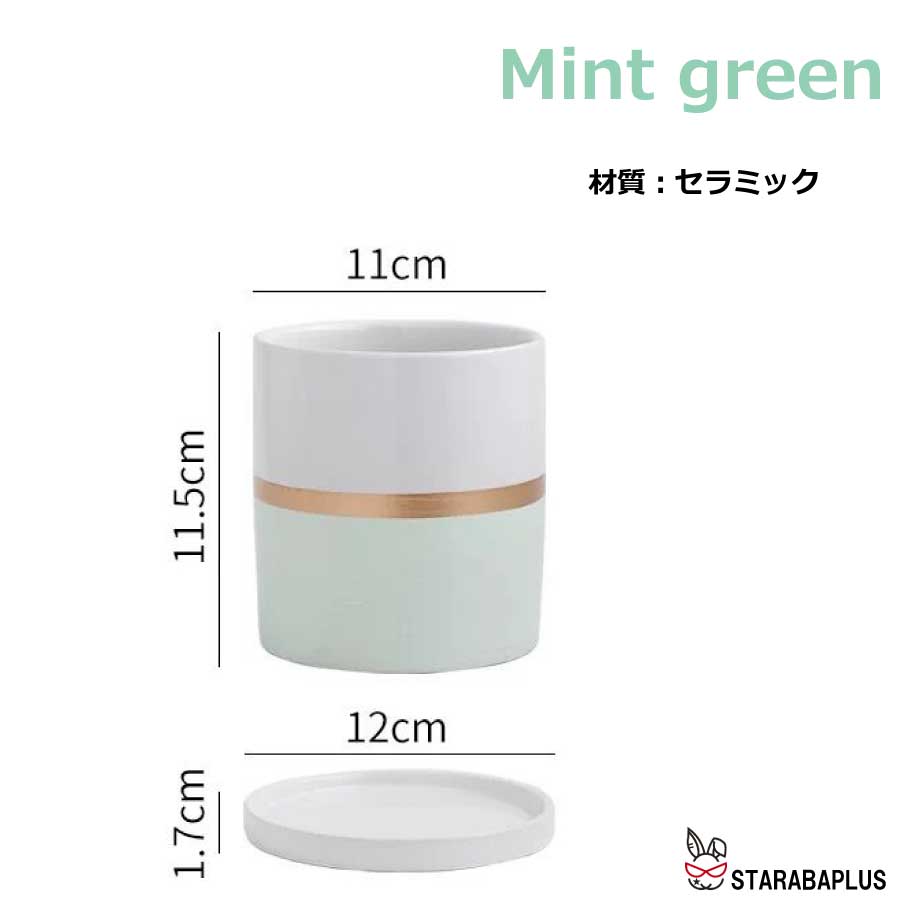 陶器鉢 植木鉢 おしゃれ 鉢植え プランター 円筒形 室内鉢 受け皿付き 穴あり 多肉植物 観葉植物鉢 送料無料 |  | 02