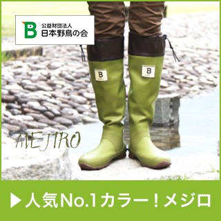 日本野鳥の会 長靴 レインブーツ バードウォッチング長靴 雨 フェス メジロ
