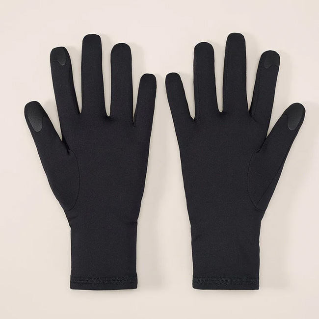 ARC'TERYX（アークテリクス） ARC TERYX ローグローブ L07880800 Rho