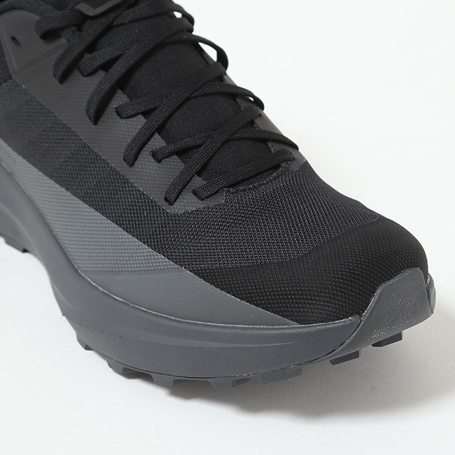 ARC'TERYX アークテリクス ノーバンLD4 メンズ 靴 ゴアテックス