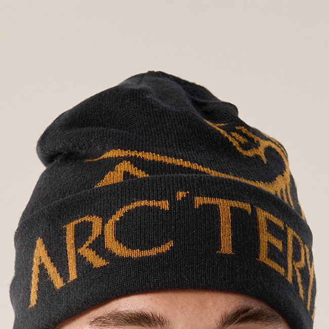 ARC'TERYX ニット帽 M 黒/金 ARC'TERYX（アークテリクス） ARC TERYX バードワードトーク Bird Word