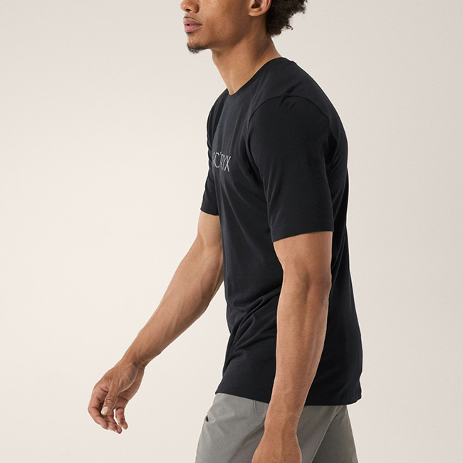 アークテリクス イオリア メリノウール Tシャツ L 楽天市場】アークテリクス イオニアメリノウールSS メンズ ARC