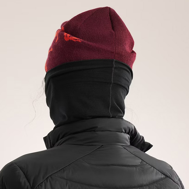 アークテリクス　ネックゲイター ネックウォーマー 6 アークテリクス ARC'TERYX ロー ネックゲイター ロング Rho