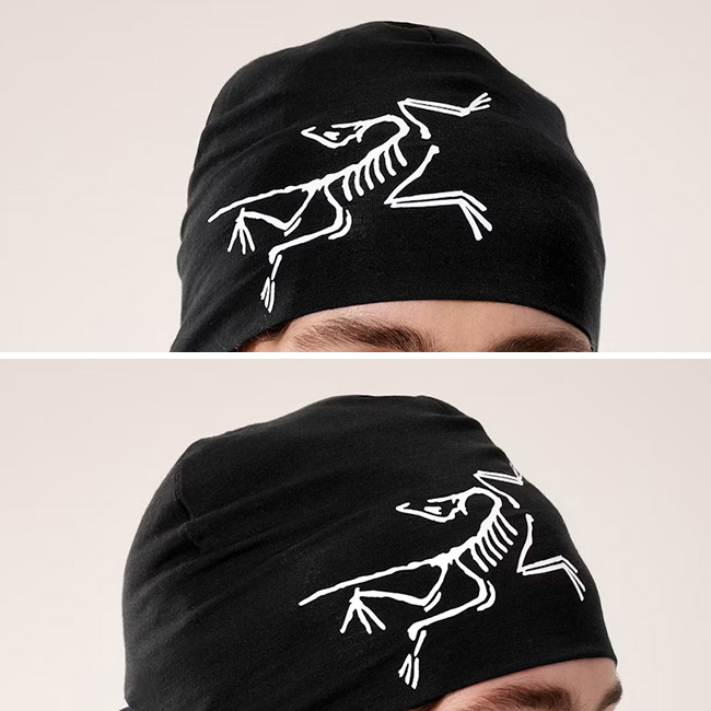 ARC'TERYX（アークテリクス） ARC TERYX サトロメリノトーク