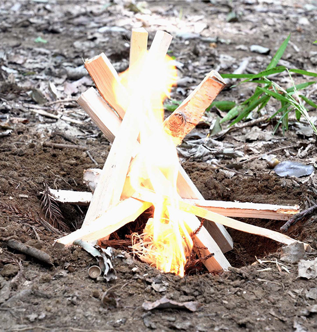Bush Craft