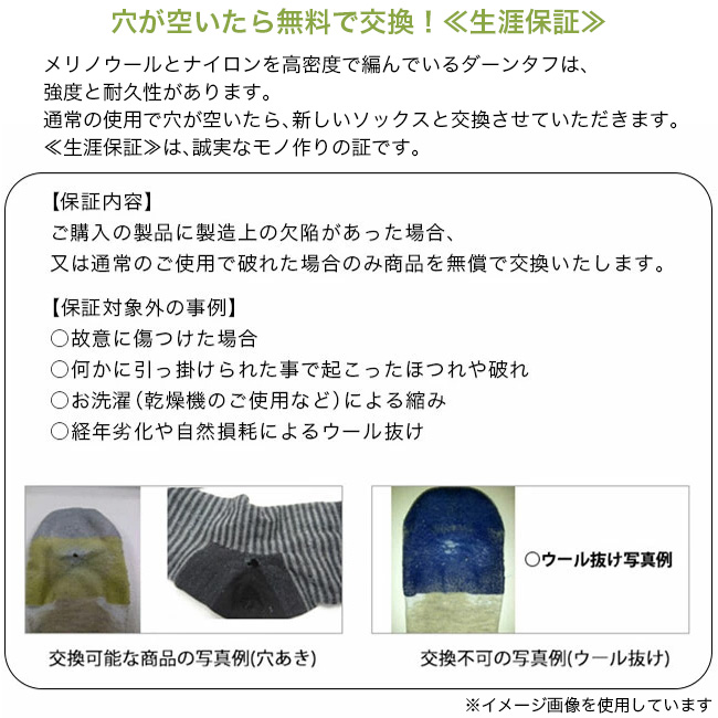 Darn Tough ダーンタフ ライトハイカーノーショーライトウェイトウィズクッション メンズ