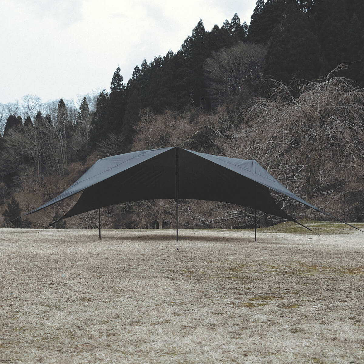 DVERG ドベルグ NEUK タープ ギア 2025 秋冬 : OutdoorStyle サンデー