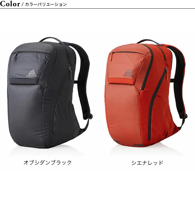 GREGORY グレゴリー レジン30 : g06446 : OutdoorStyle サンデー